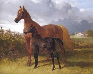 John Frederick Herring Snr - Chestnut Mare And Foal