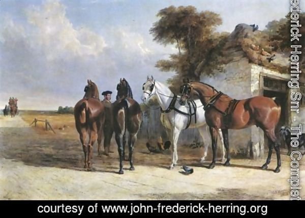 Coach Horses 1838