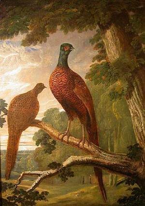 John Frederick Herring Snr - Cock and Hen Pheasant on a Roost