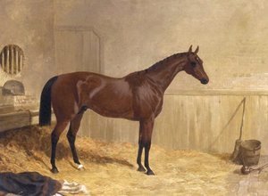 John Frederick Herring Snr - Cotherstone A Racehorse 1843