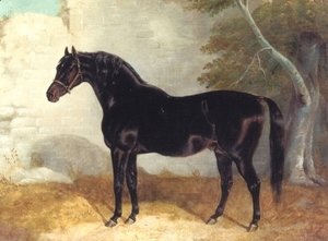 John Frederick Herring Snr - Dark Bay Racehorse in Courtyard