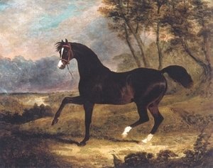 John Frederick Herring Snr - Dark Bay Racehorse in Landscape