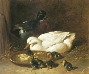 John Frederick Herring Snr - Duck And Duckings 1851