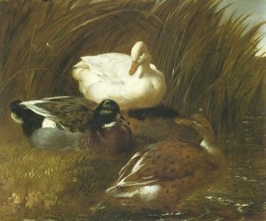 John Frederick Herring Snr - Ducks Beside A Stream 1851