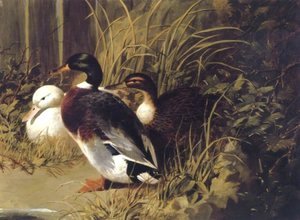 Ducks By A River Bank 1845