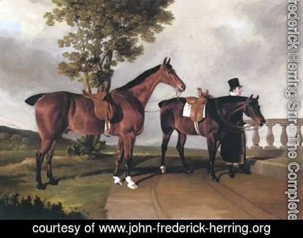 John Frederick Herring Snr - Favorite Hunters Of Lawrence Parsons 1822