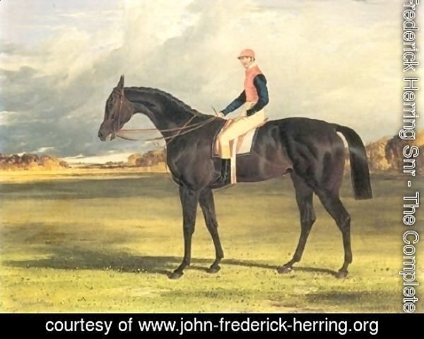 John Frederick Herring Snr - Filly Industry with Jockey Up 1838