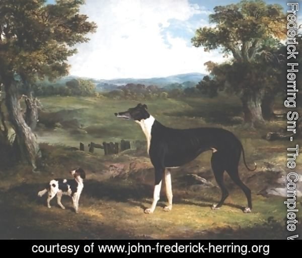 John Frederick Herring Snr - Greyhound and Dog In Landscape