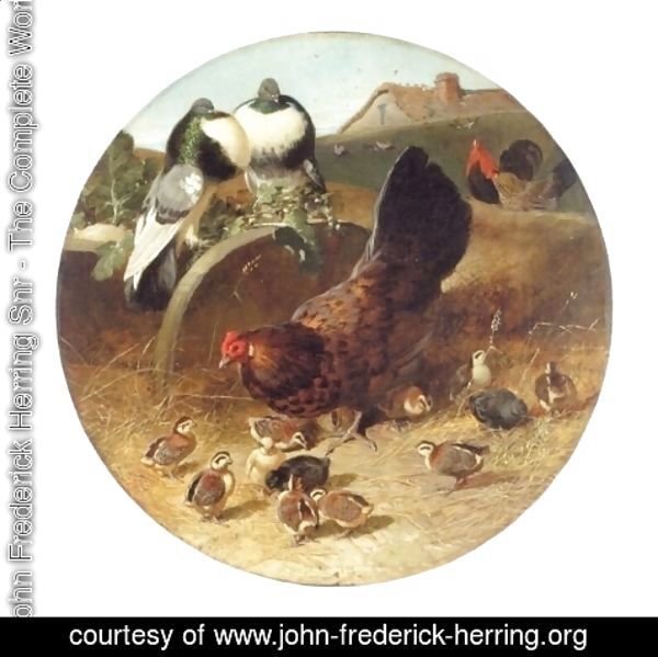 John Frederick Herring Snr - Hen With Chicks and Pigeons