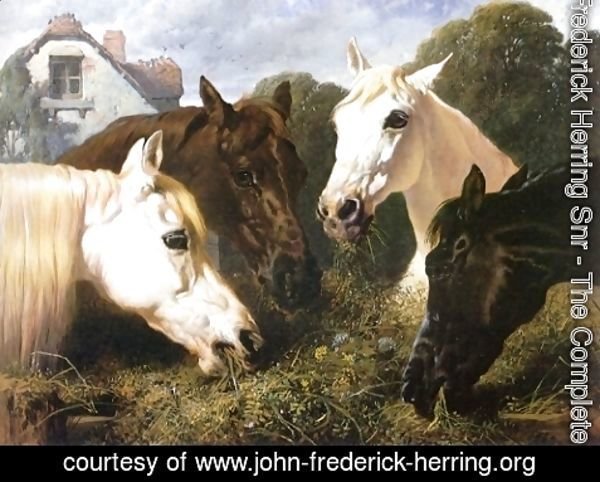 John Frederick Herring Snr - Horse Feeding At A Manger