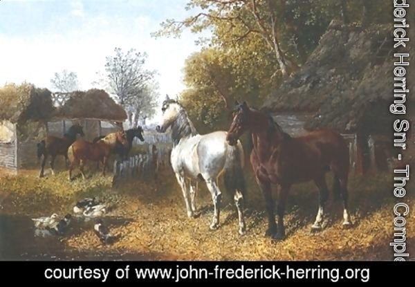 John Frederick Herring Snr - Horses and Ducks In Farmyard