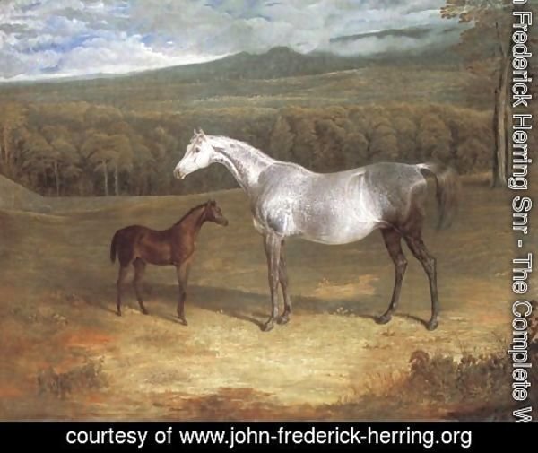 Jack Spigot Foal With Mother 1818