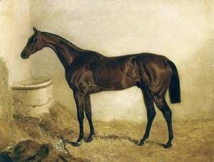 Little Wonder in a Stable 1840
