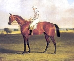 John Frederick Herring Snr - Little Wonder with Jockey Up 1840
