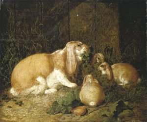 Lop Eared Rabbits 1860