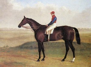 Lord Chesterfields Racehorse Don John