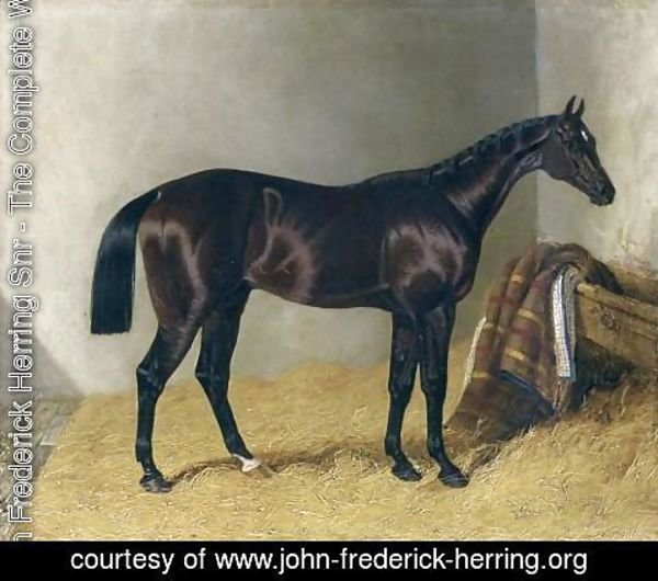 John Frederick Herring Snr - Mango In a Stable 1837