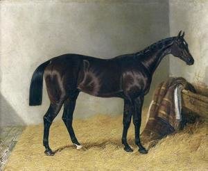 Mango In a Stable 1837