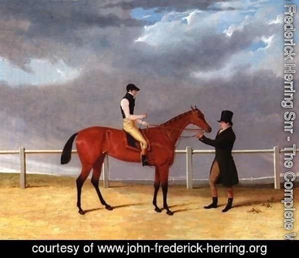 John Frederick Herring Snr - Matilda With Jockey Up