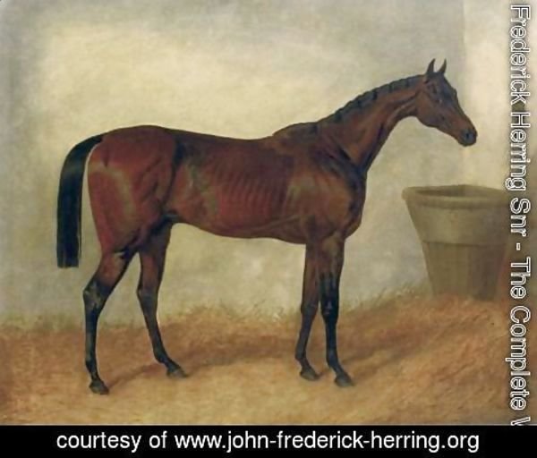 John Frederick Herring Snr - Merry Monarch A Bay Mare In a Stable 1845