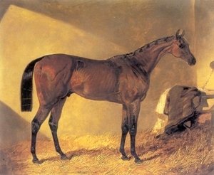John Frederick Herring Snr - Merry Monarch in a Stall