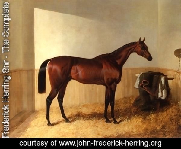 John Frederick Herring Snr - Merry Monarch in Stable