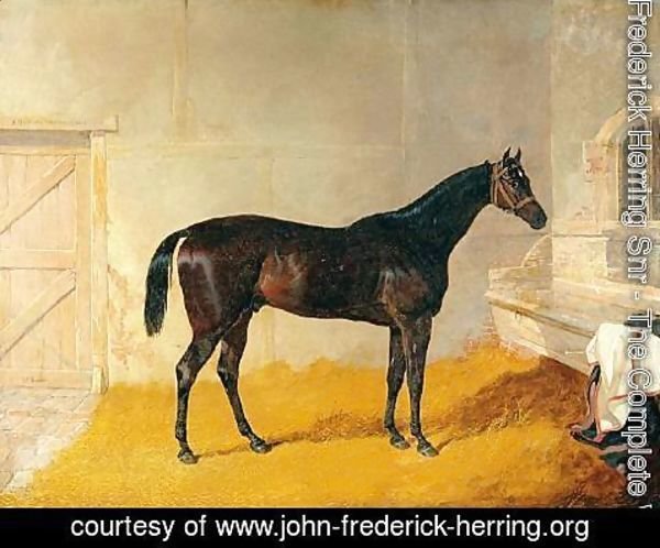 John Frederick Herring Snr - Mr. G. Blakelock?s Racehorse A British Yeoman