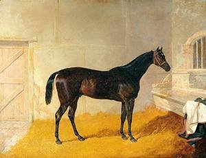 Mr. G. Blakelock?s Racehorse A British Yeoman