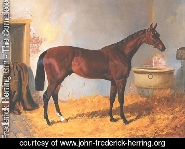 John Frederick Herring Snr - Nutwith