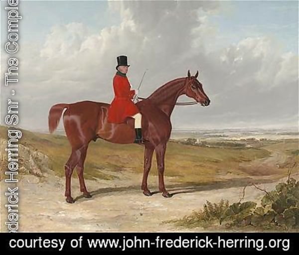 John Frederick Herring Snr - Portrait of Mr. Daniel Haigh, Master of the Old Surrey Hunt