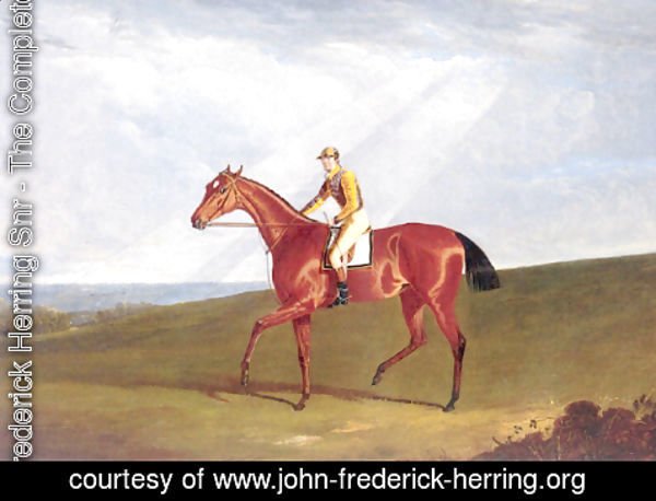 John Frederick Herring Snr - Ringlet With Jockey Up