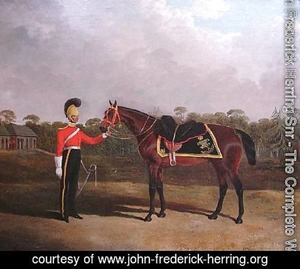 John Frederick Herring Snr - Robert Knox with his Charger, 6th Dragoon Guards (Caribineers)