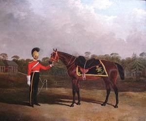 Robert Knox with his Charger, 6th Dragoon Guards (Caribineers)