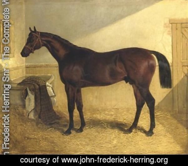 John Frederick Herring Snr - Rockingham Winner 1833 St. Leger 1833