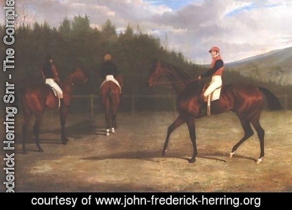 John Frederick Herring Snr - Start Of The Goldwood Cup 1831
