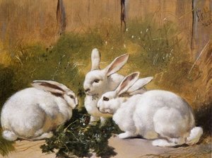 Three White Rabbits 1851