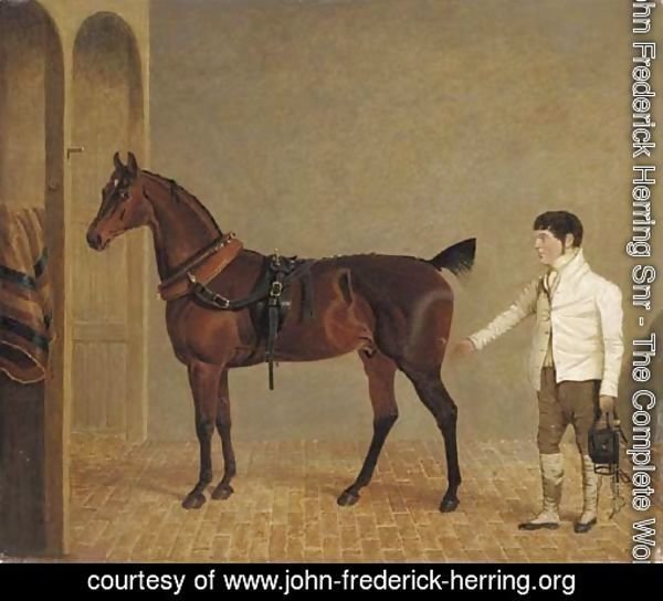 A carriage horse and groom in a stable