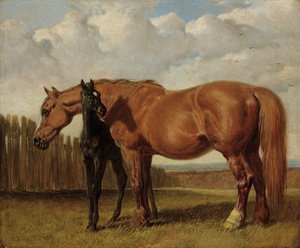 John Frederick Herring Snr - A chestnut mare with her foal in a paddock