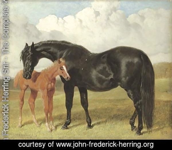 John Frederick Herring Snr - A mare and foal in a landscape
