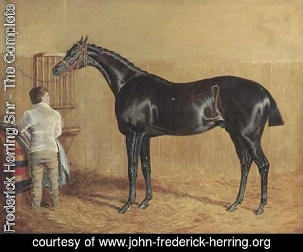 John Frederick Herring Snr - A racehorse in a stable with a groom