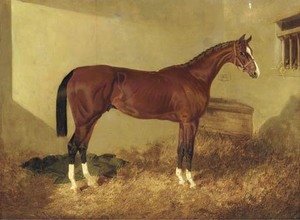 John Frederick Herring Snr - Aristides, a bay colt, in a loosebox