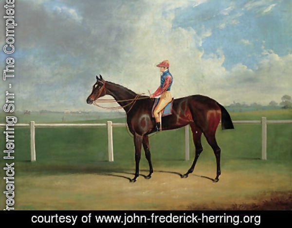 John Frederick Herring Snr - Bessy Bedlam, a bay racehorse with T. Nicholson up, on a racecourse
