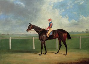 Bessy Bedlam, a bay racehorse with T. Nicholson up, on a racecourse