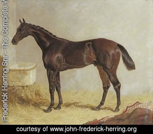 John Frederick Herring Snr - Birmingham, winner of the 1830 St. Leger Stakes, in a stable