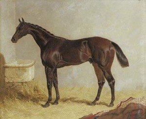 John Frederick Herring Snr - Birmingham, winner of the 1830 St. Leger Stakes, in a stable