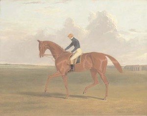 Colonel Peel's chestnut filly Vulture, with jockey up, on Newmarket Heath