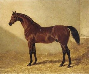John Frederick Herring Snr - Glaucus, a bay racehorse in a stable