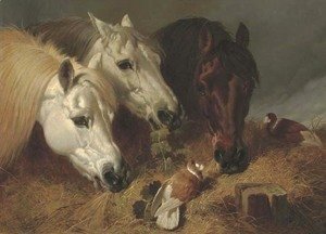Horses feeding with two ornamental pigeons at a manger