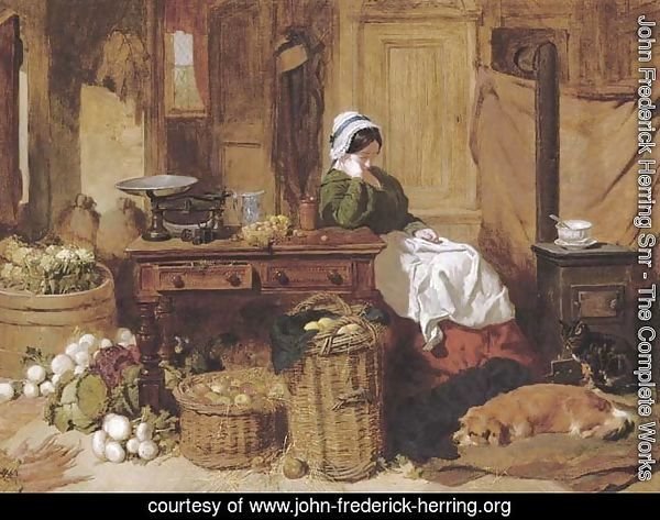 Jennie asleep at a kitchen table, surrounded by fruit and vegetables, with two dogs and a cat in front of the stove at her feet
