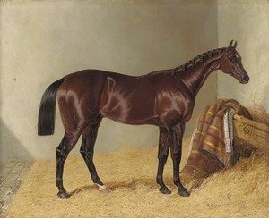 Mango, winner of the 1837 St. Leger Stakes, in a stable